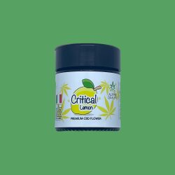 Critical Lemon Indoor Pot 2G by Alpine Quality
